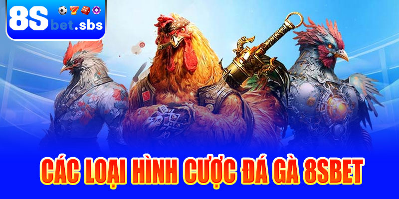Các loại hình cược đá gà 8sBet