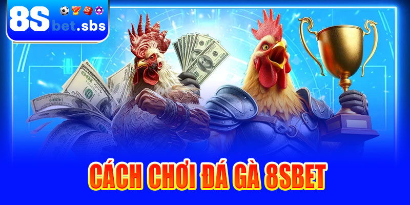 Cách chơi đá gà 8sBet