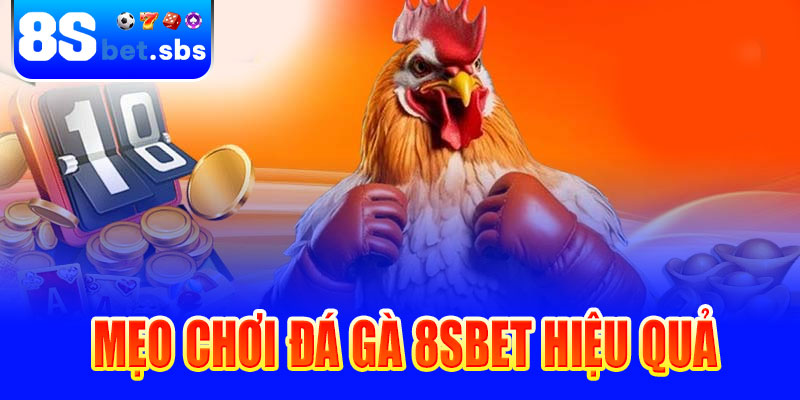 Mẹo chơi đá gà 8sBet hiệu quả