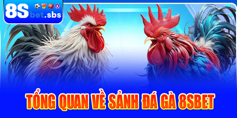 Tổng quan về sảnh đá gà 8sBet